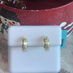 NWT Moissanite 0.13 carat Small Huggie Hoops